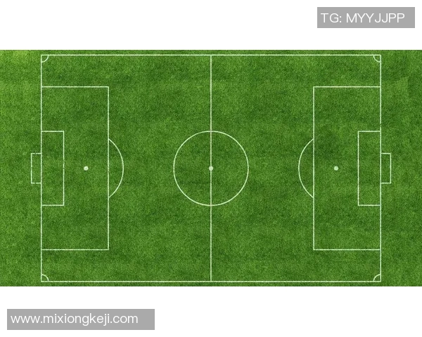 草原足球明星全景图鉴及详细名单介绍