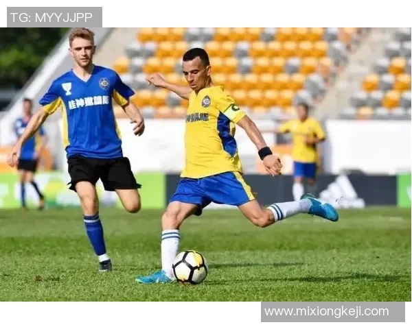 足球明星养马数量排行榜揭晓谁是马场上的真正赢家